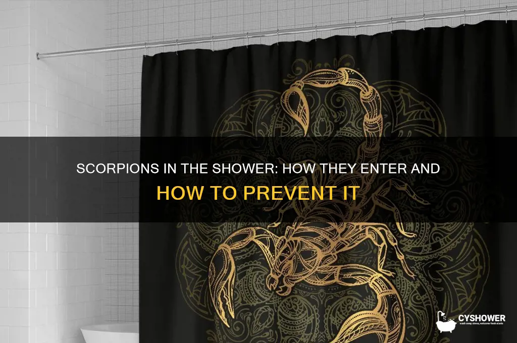 how do scorpions get in shower