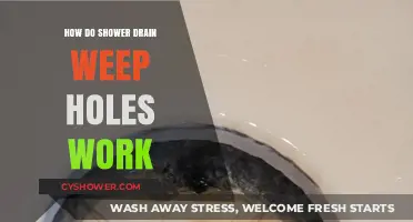 Understanding Shower Drain Weep Holes: Function, Importance, and Maintenance Tips