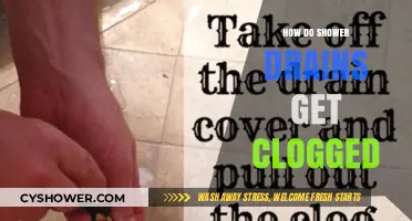 Why Shower Drains Clog: Common Causes and Prevention Tips