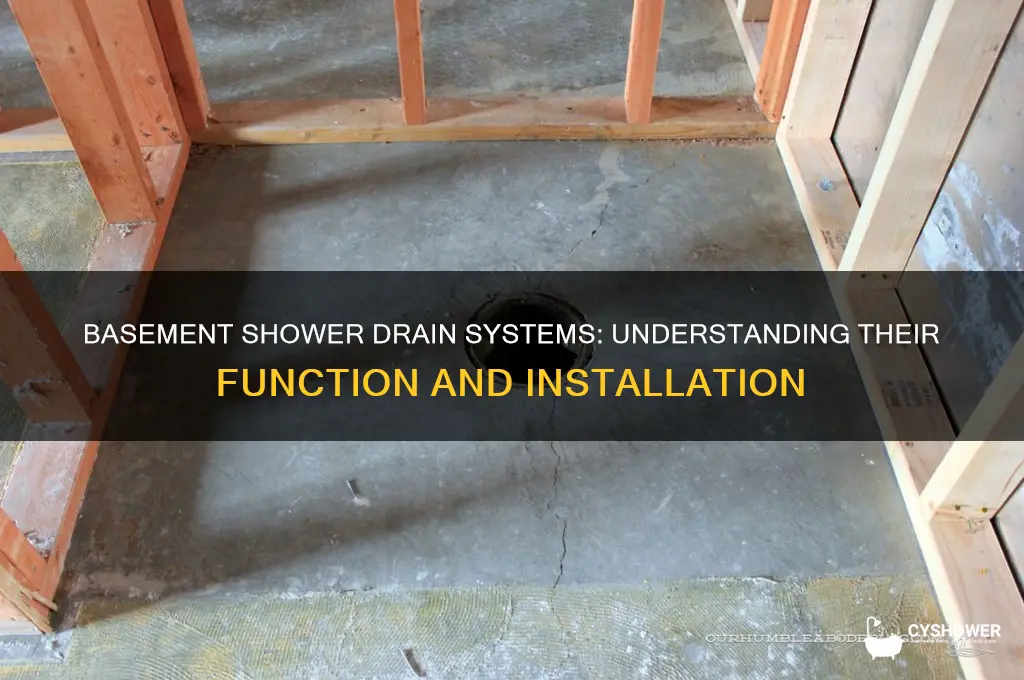 how do shower drains work in a basement
