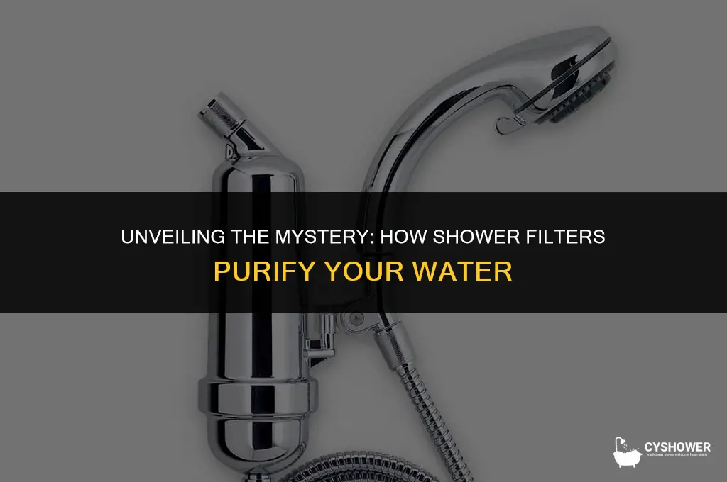 how do shower filters work