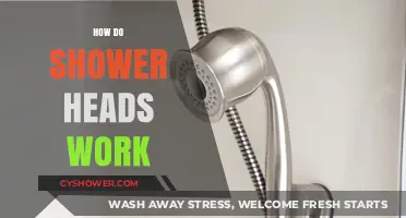 Understanding Shower Heads: Mechanics, Functionality, and Water Flow Explained