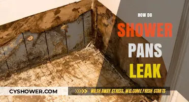 Uncovering the Hidden Culprits: How Shower Pans Leak and How to Fix Them