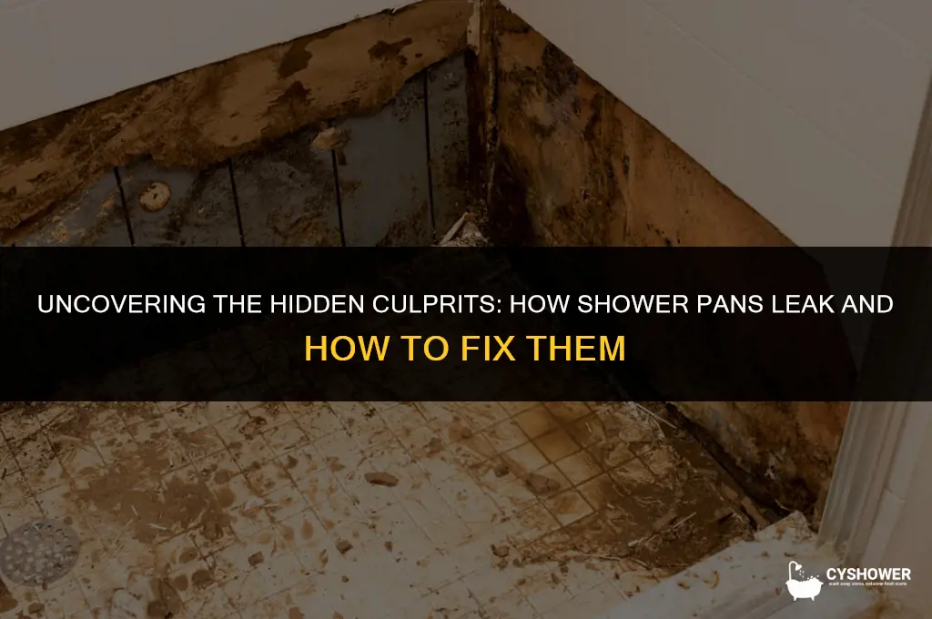 how do shower pans leak