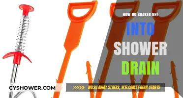 Unwanted Guests: How Snakes Slither into Shower Drains Explained