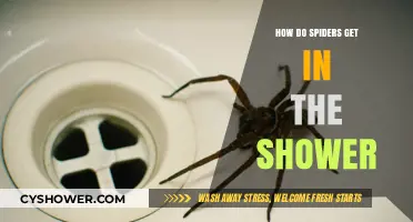 Why Spiders Invade Showers: Uncovering Their Unexpected Bathroom Habits