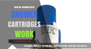 Exploring the Mechanics of Thermostatic Shower Cartridges