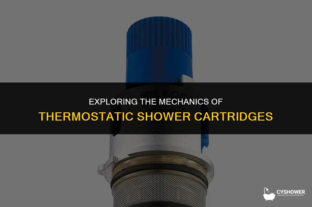 how do thermostatic shower cartridges work