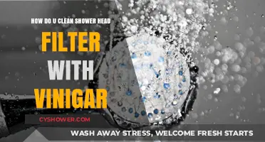 Easy Vinegar Hack to Clean Your Shower Head Filter Effectively