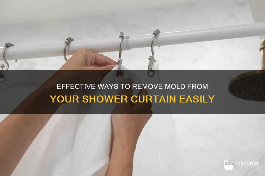 how do u get mold out of a shower curtain