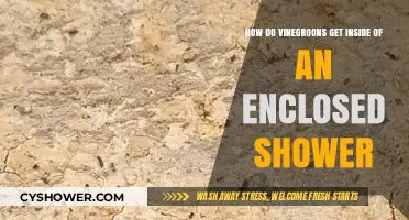 How Vinegaroons Sneak into Enclosed Showers: Unveiling the Mystery