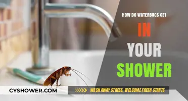 Unwanted Guests: How Waterbugs Sneak into Your Shower and Solutions