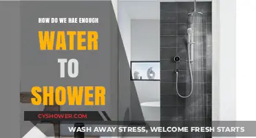 Sustainable Showering: Ensuring Enough Water for Daily Hygiene Needs