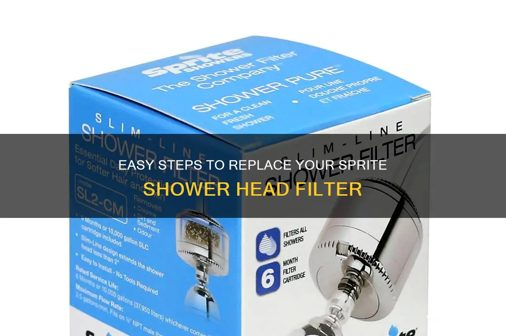 how do you change a sprite shower head replacement filter
