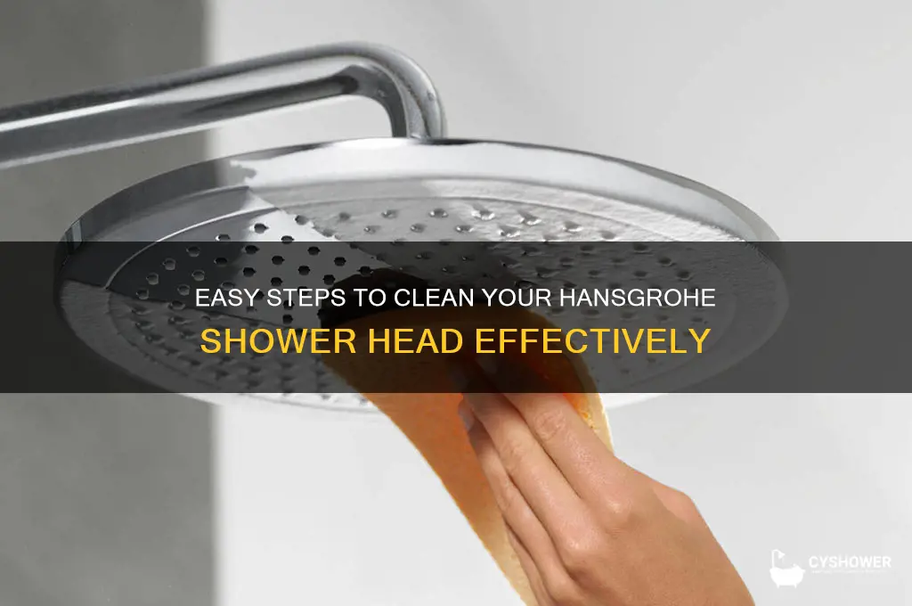how do you clean a hansgrohe shower head