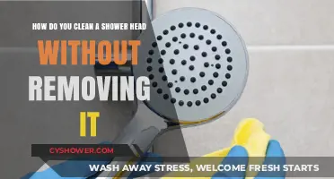 Effortless Shower Head Cleaning: Quick Tips Without Removal