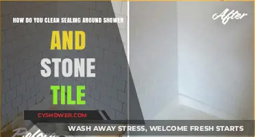 Effective Cleaning Tips for Shower and Stone Tile Sealants