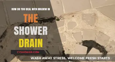 Effective Ways to Eliminate Mildew in Your Shower Drain
