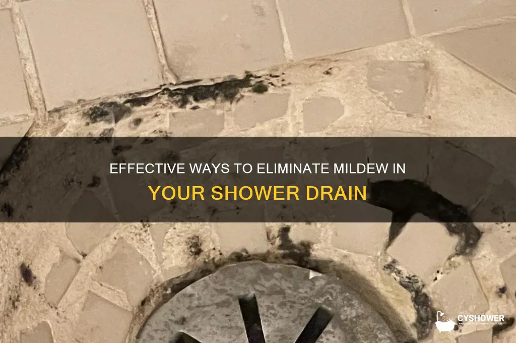 how do you deal with mildew in the shower drain