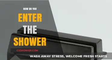 Stepping into Serenity: A Guide to Shower Entry Bliss