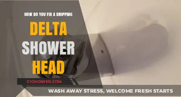 Quick Fix for a Dripping Delta Shower Head: DIY Repair Guide