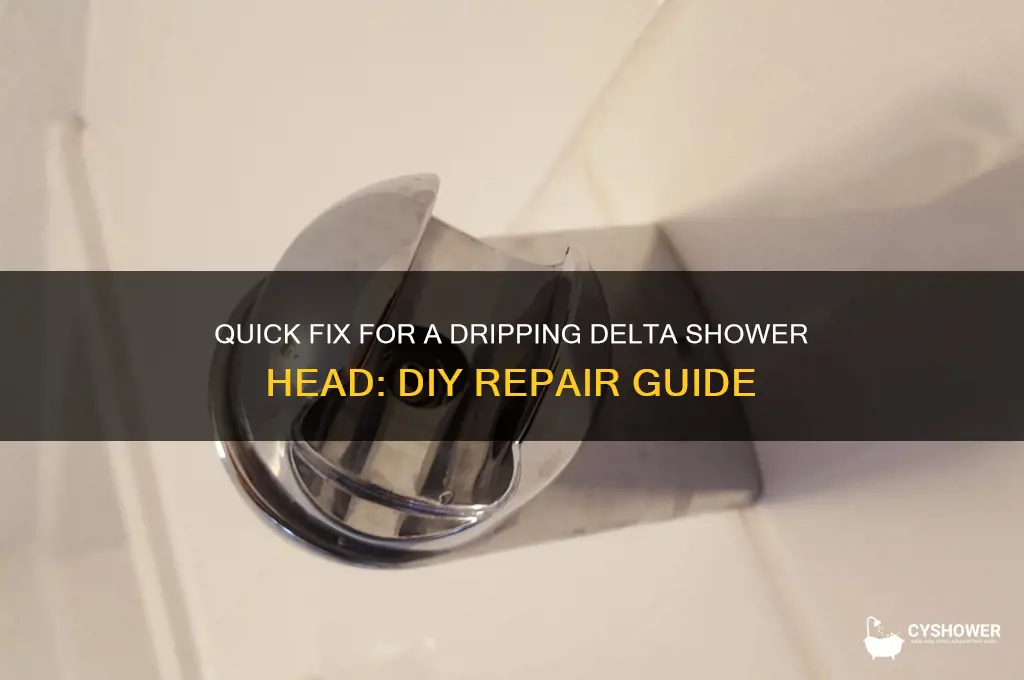 how do you fix a dripping delta shower head
