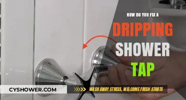 Quick Guide to Fixing a Dripping Shower Tap Easily