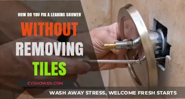 Fix Leaking Shower Without Removing Tiles: Quick DIY Repair Guide