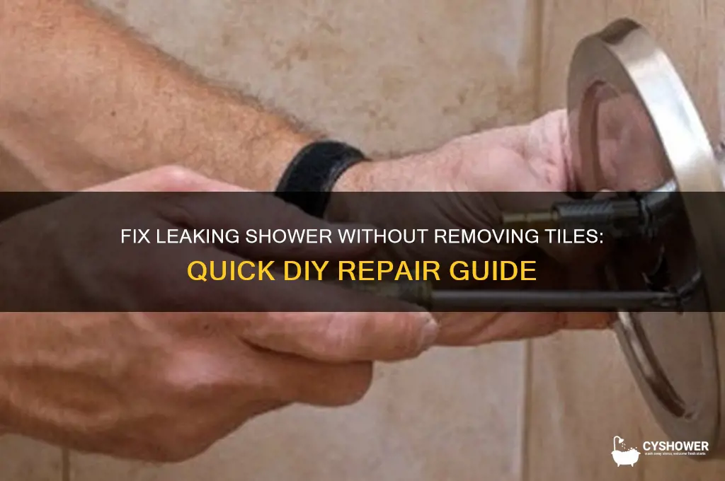 how do you fix a leaking shower without removing tiles