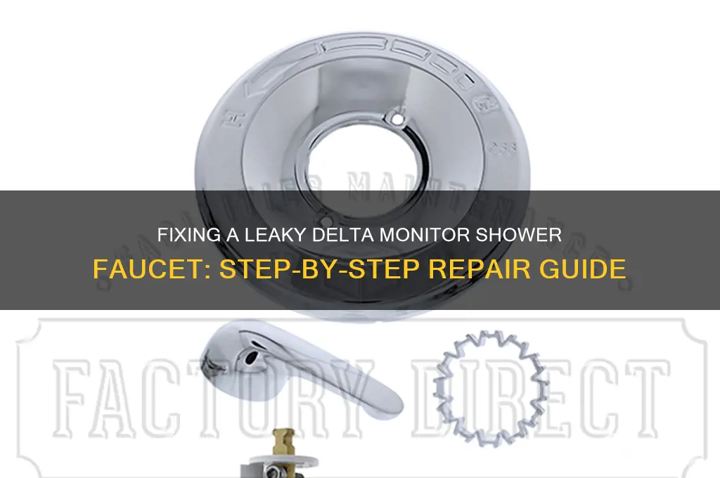 how do you fix a leaky delta monitor shower faucet