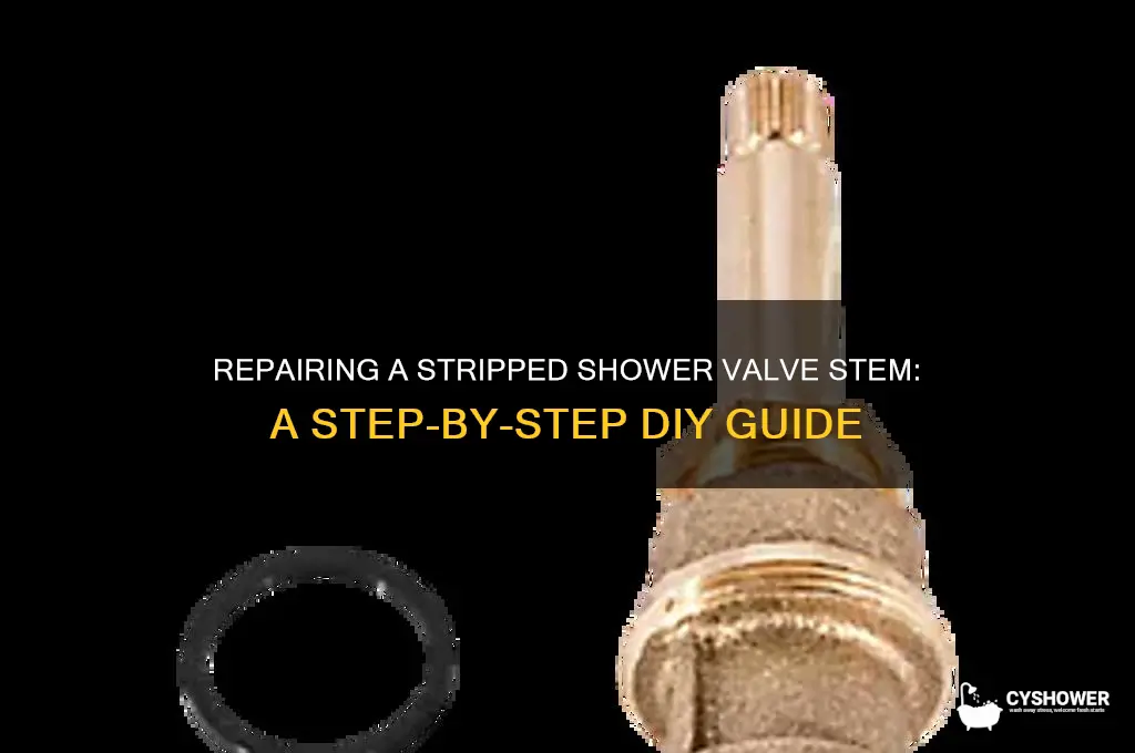 how do you fix a stripped shower valve stem