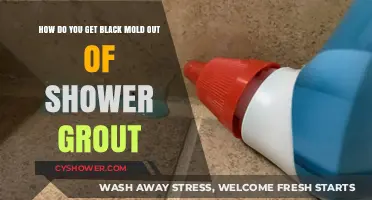 Effective Ways to Remove Black Mold from Shower Grout Easily