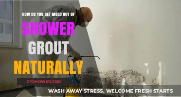 Natural Ways to Remove Mold from Shower Grout Effectively