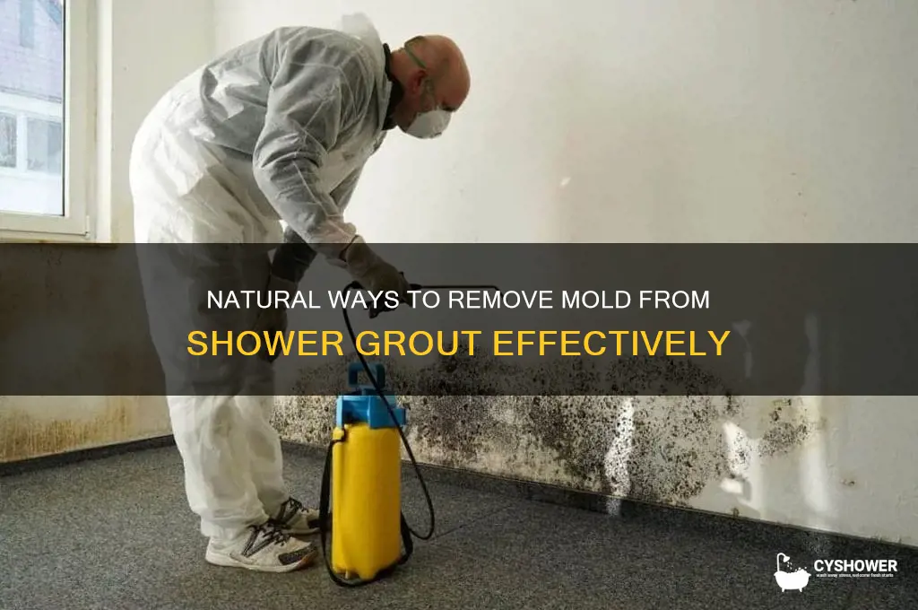 how do you get mold out of shower grout naturally