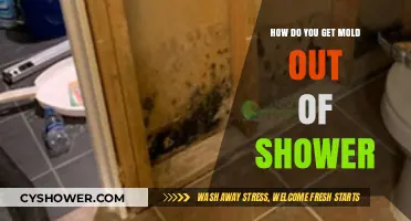 Effective Ways to Remove Mold from Your Shower Quickly and Safely