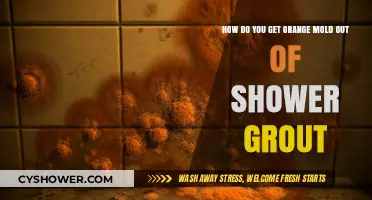 Effective Ways to Remove Orange Mold from Shower Grout Easily