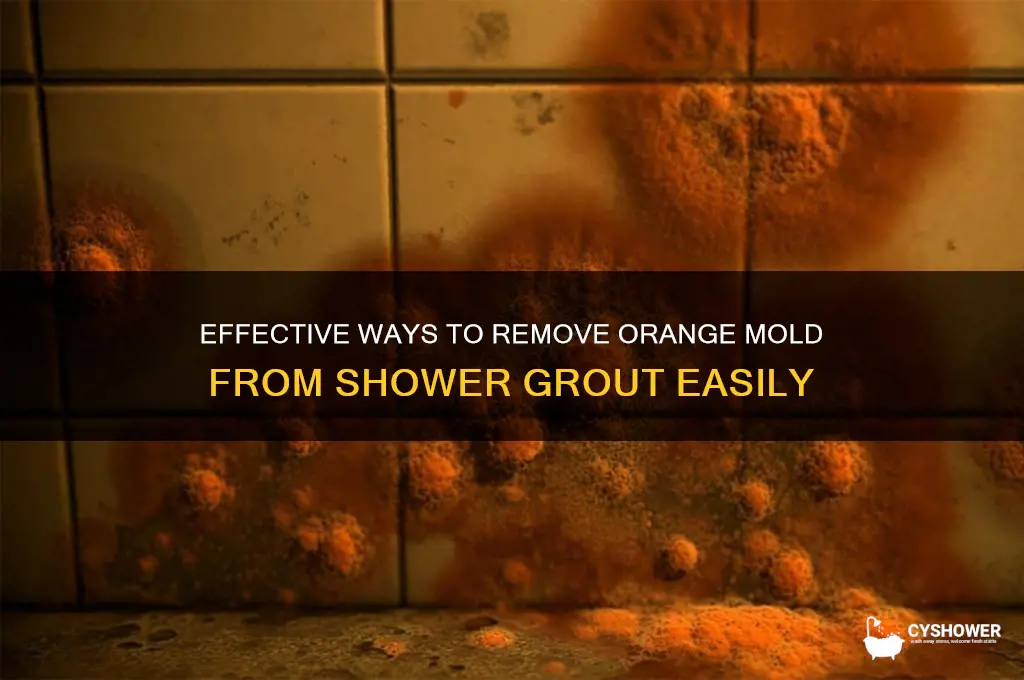 how do you get orange mold out of shower grout