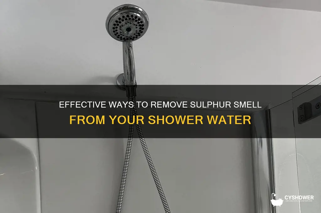how do you get rid of sulphur in shower