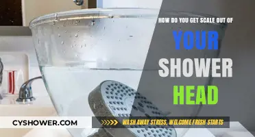Effective Ways to Remove Scale Buildup from Your Shower Head