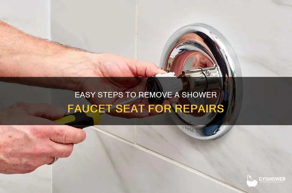 how do you get the seat out of shower faucet