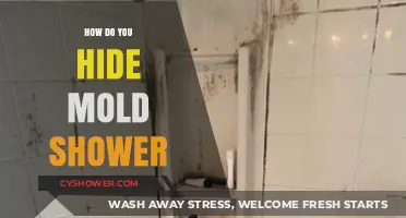 Concealing Mold in Your Shower: A Comprehensive Guide