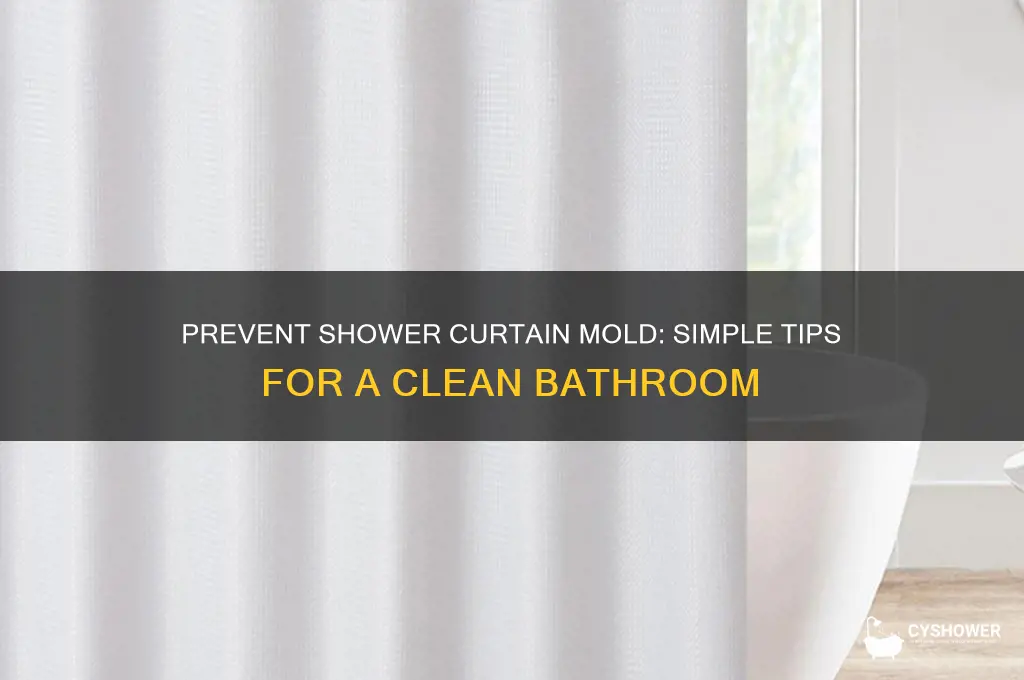 how do you keep a shower curtain from molding
