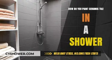 Revamp Your Shower: A Step-by-Step Guide to Painting Ceramic Tiles