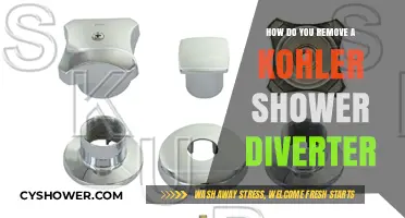 Easy Steps to Remove a Kohler Shower Diverter Valve
