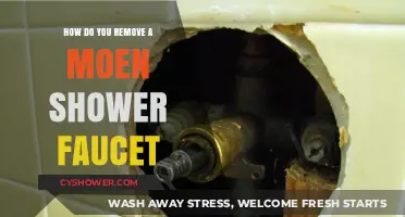Step-by-Step Guide to Removing a Moen Shower Faucet Easily