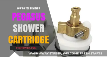 Easy Steps to Remove a Pegasus Shower Cartridge: DIY Guide