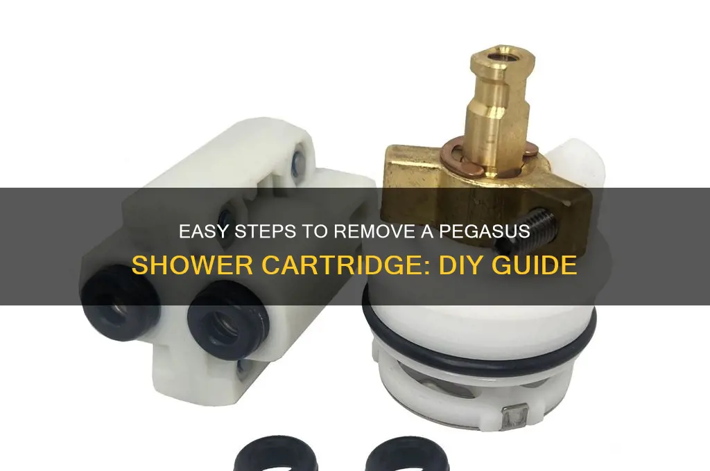 how do you remove a pegasus shower cartridge