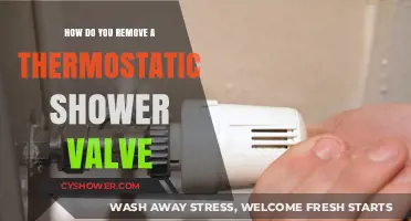 Step-by-Step Guide to Removing a Thermostatic Shower Valve Easily