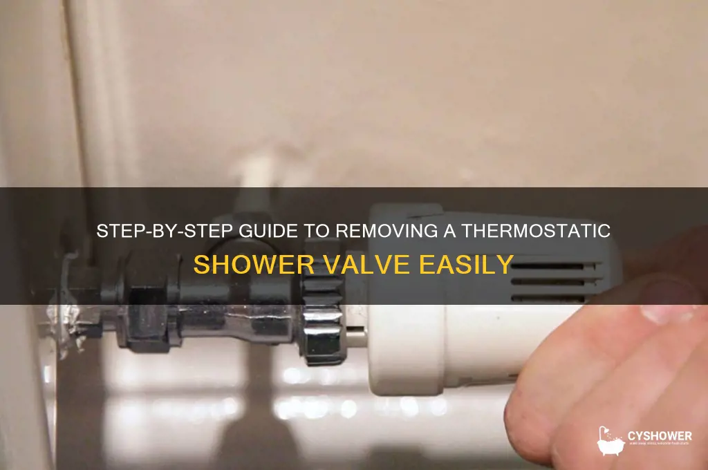 how do you remove a thermostatic shower valve