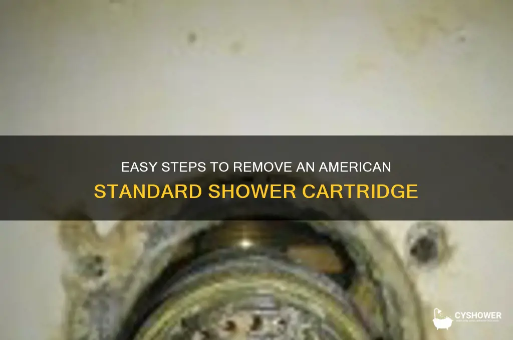 how do you remove an american standard shower cartridge
